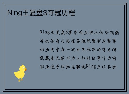 Ning王复盘S夺冠历程