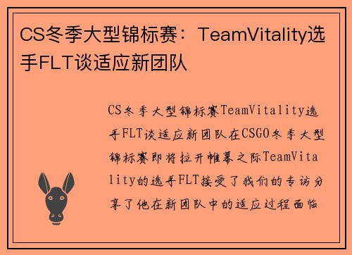 CS冬季大型锦标赛：TeamVitality选手FLT谈适应新团队